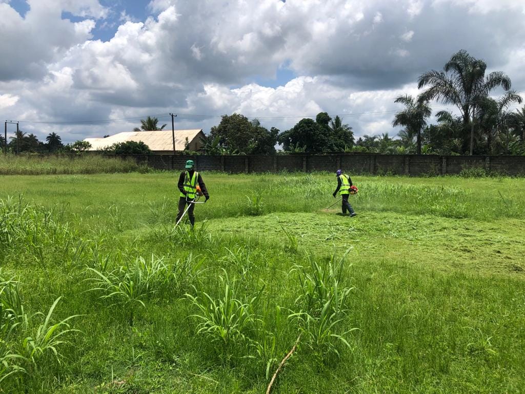 School Clean Up Project in Action